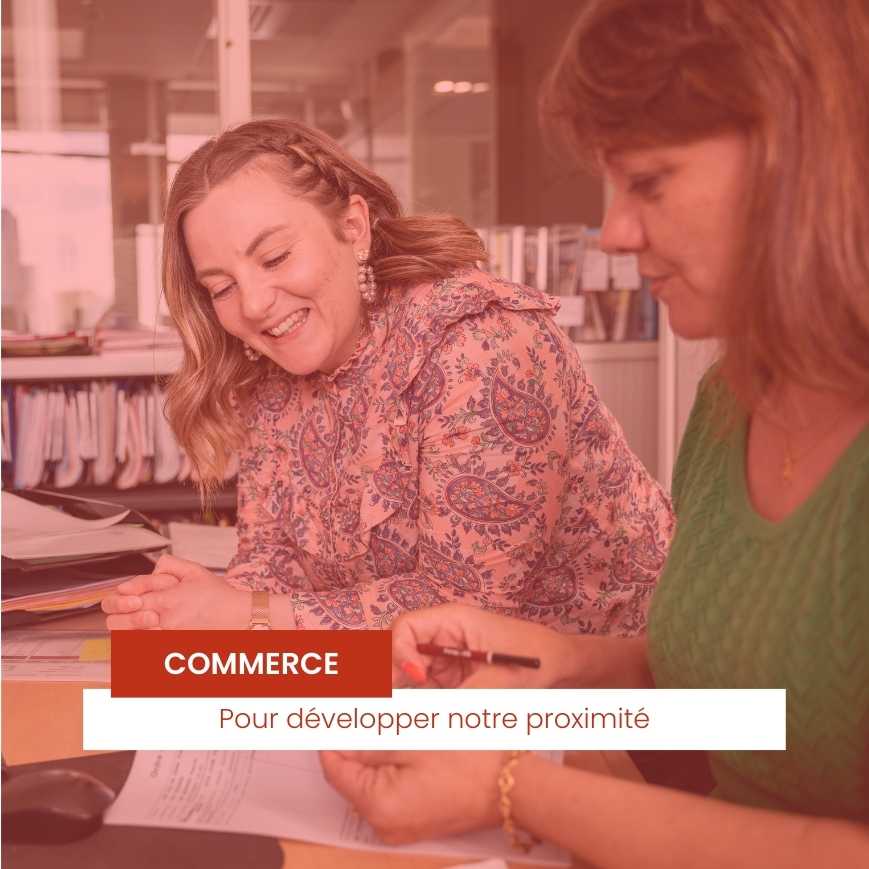 Conseiller / Conseillère clientèle à distance