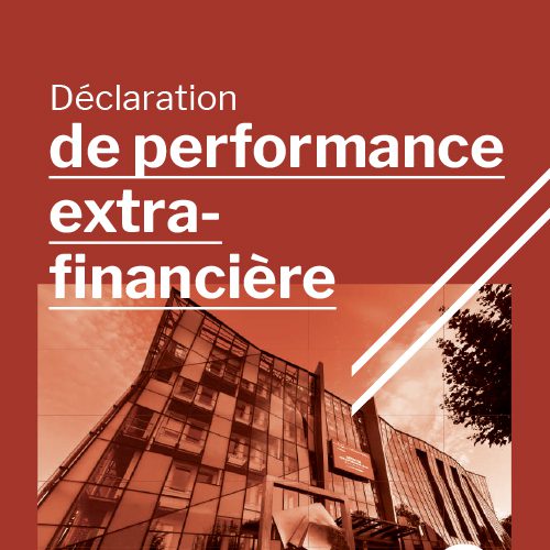 Déclaration de Performance Extra-Financière 2020